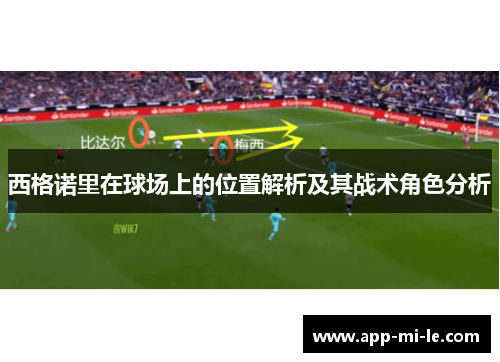 西格诺里在球场上的位置解析及其战术角色分析