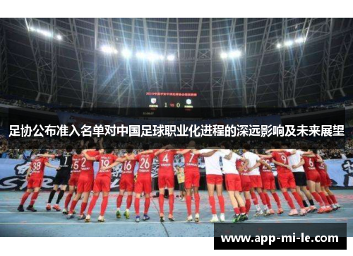 足协公布准入名单对中国足球职业化进程的深远影响及未来展望