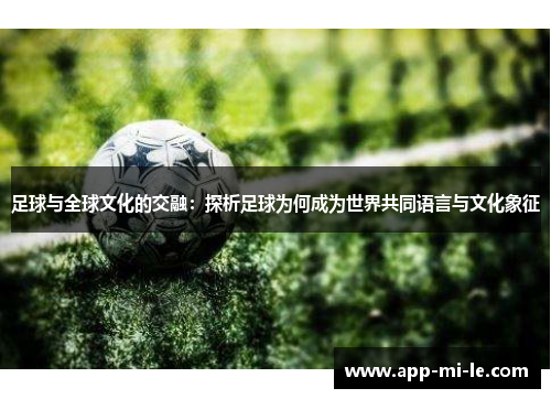 足球与全球文化的交融：探析足球为何成为世界共同语言与文化象征