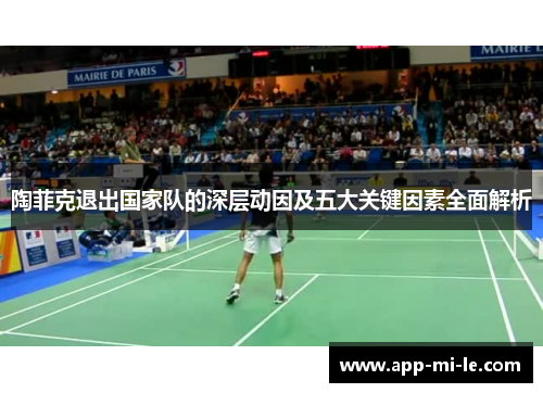 陶菲克退出国家队的深层动因及五大关键因素全面解析