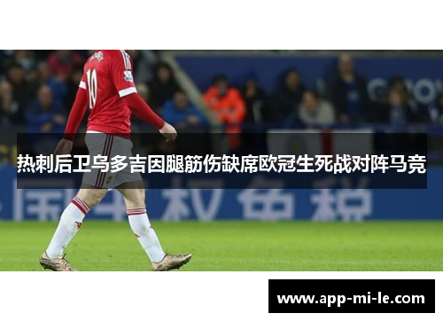 热刺后卫乌多吉因腿筋伤缺席欧冠生死战对阵马竞