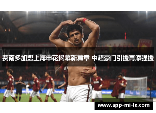 费南多加盟上海申花揭幕新篇章 中超豪门引援再添强援